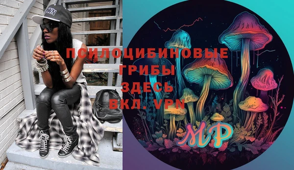 прущие грибы Зеленодольск
