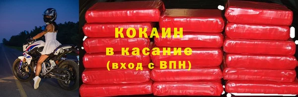 прущие грибы Зеленодольск