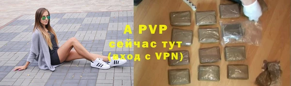 ПСИЛОЦИБИНОВЫЕ ГРИБЫ Иннополис