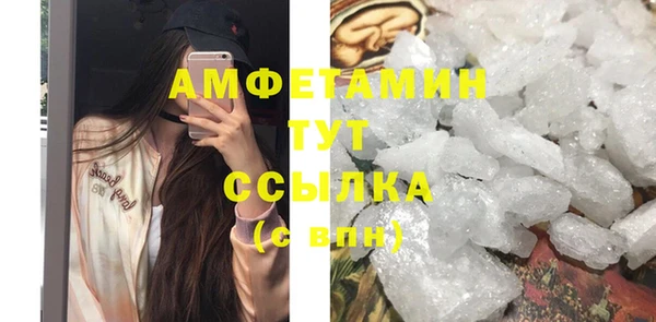 молекула духа Инсар