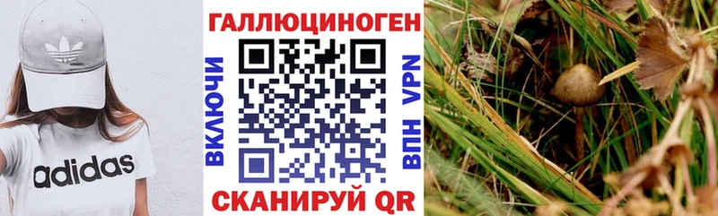 Псилоцибиновые грибы мицелий  Купить  Дедовск 